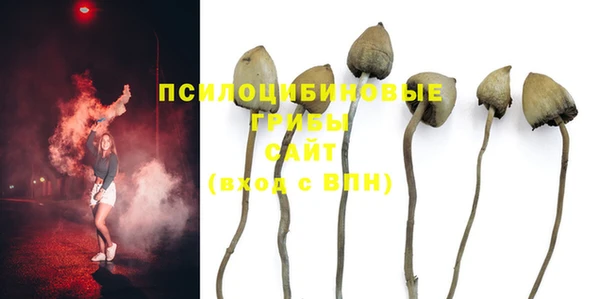 PSILOCYBIN Балабаново